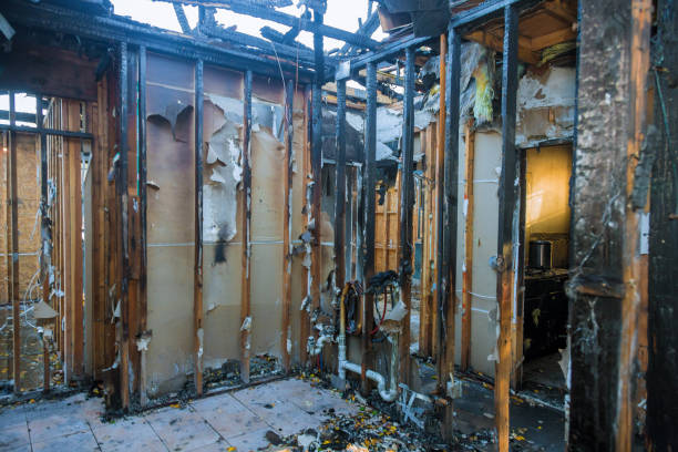 Professional Fire Damage Removal technician working in Victoria, TX